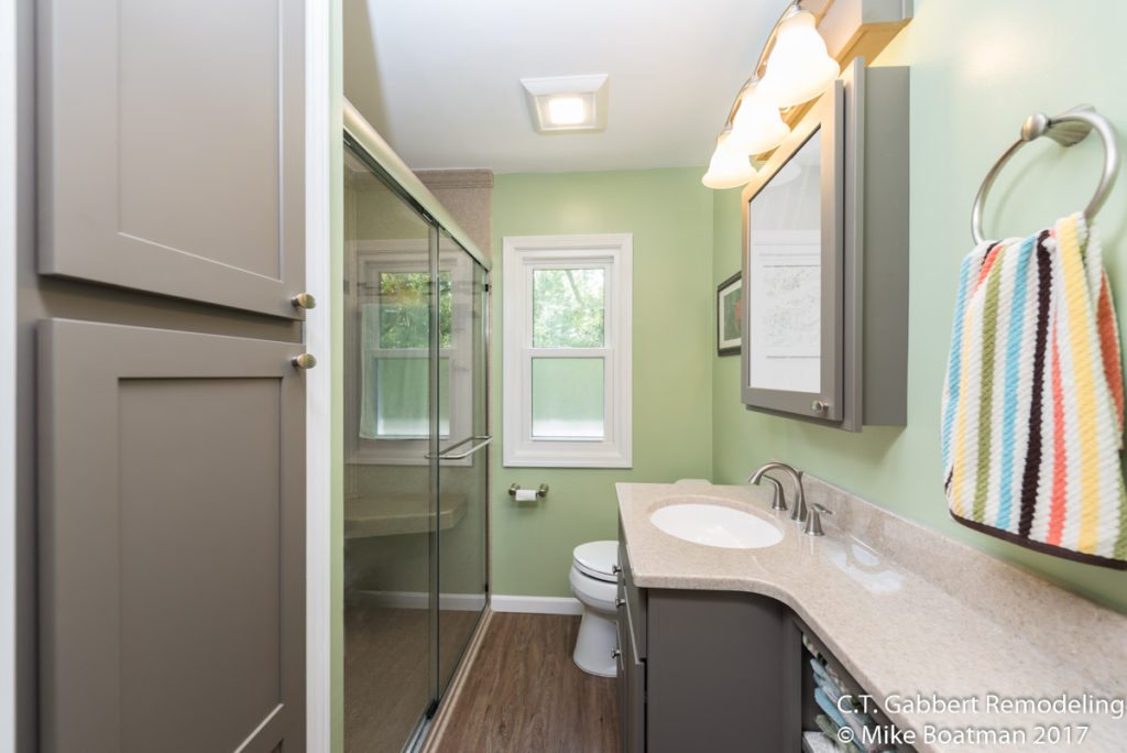 compact bathroom with wood flooring and green walls and grey cabinets
