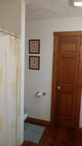 shower layout before remodel